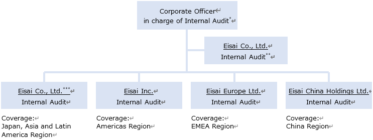 Global Internal Audit System