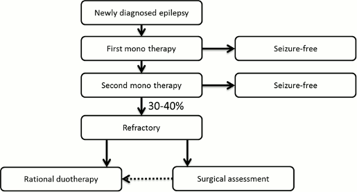 About the Treatment of Epilepsy