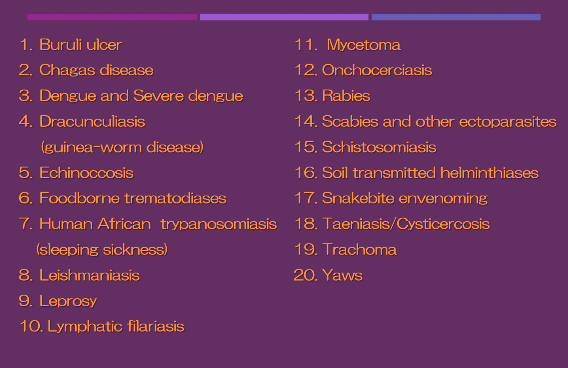 1.Buruli ulcer , 2.Chagas disease , 3.Dengue and Severe dengue , 4.Dracunculiasis (guinea-worm disease) , 5.Echinoccosis , 6.Foodborne trematodiases , 7.Human African trypanosomiasis (sleeping sickness) , 8.Leishmaniasis , 9.Leprosy , 10.Lymphatic filariasis , 11.Mycetoma , 12.Onchocerciasis , 13.Rabies , 14.Scabies and other ectoparasites , 15.Schistosomiasis , 16.Soil transmitted helminthiases , 17.Snakebite envenoming , 18.Taeniasis/Cysticercosis , 19.Trachoma , 20.Yaws