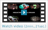 Watch video (2 min., 21 sec.)