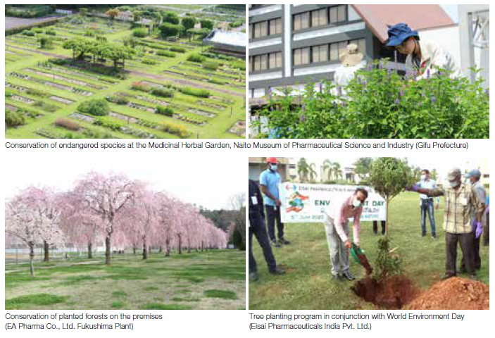 Conservation of endangered species at the Medicinal Herbal Garden,Naito Museum of Pharmaceutical Science and Industry(Gifu Prefecture) Conservation of planted forests on the premises (EA Pharma Co.,Ltd.Fukushima Plant) Tree planting program in conjunction with World Environment Day(Eisai Pharmaceuticals India Pvt.Ltd.)