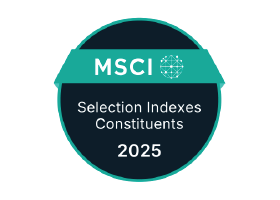 MSCI Selection Indexes Constituents