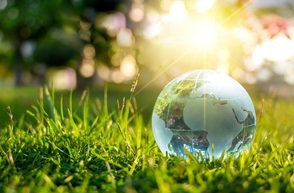 Eisai’s Kawashima Plant Honored with “Gifu Decarbonization Top Runner Award” 
～Recognized for Proactive Initiatives to Reduce Greenhouse Gas Emissions～
