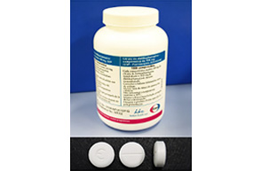 Eisai Begins Free Supply of DEC Tablets to Eliminate Lymphatic Filariasis