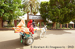 Development of a Treatment for Eumycetoma, One of the World's Most Neglected Diseases