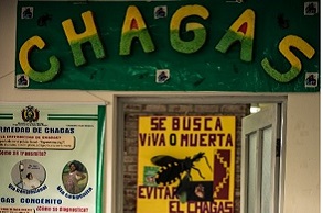 Chagas Disease INCREASING ACCESS TO ADAPTED TREATMENTS
Field Report from Dr. Ribeiro, DNDi
